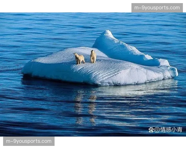 气候变暖对全球冬季运动产业的影响：滑雪胜地面临挑战