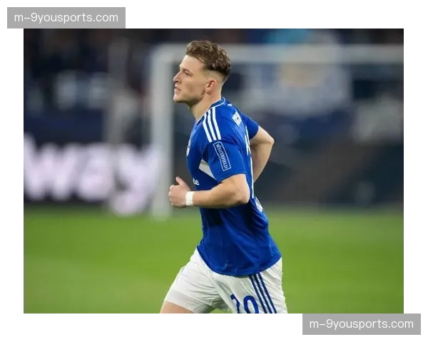 前沙尔克04董事会被指控在降级赛季存在管理失职