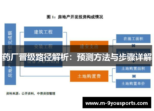 药厂晋级路径解析：预测方法与步骤详解