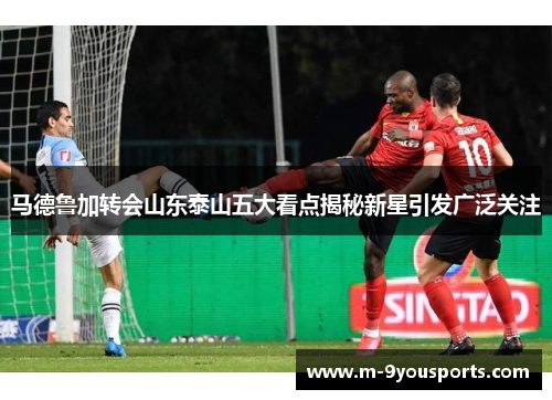 马德鲁加转会山东泰山五大看点揭秘新星引发广泛关注