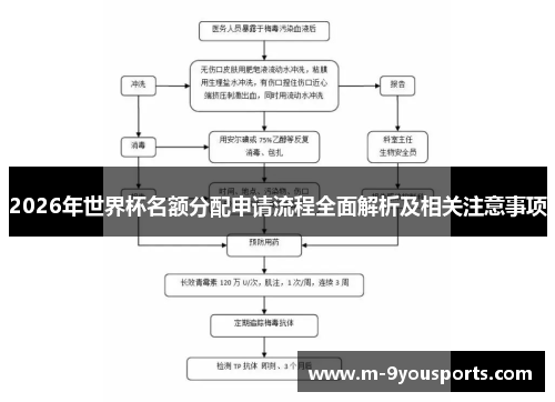 2026年世界杯名额分配申请流程全面解析及相关注意事项